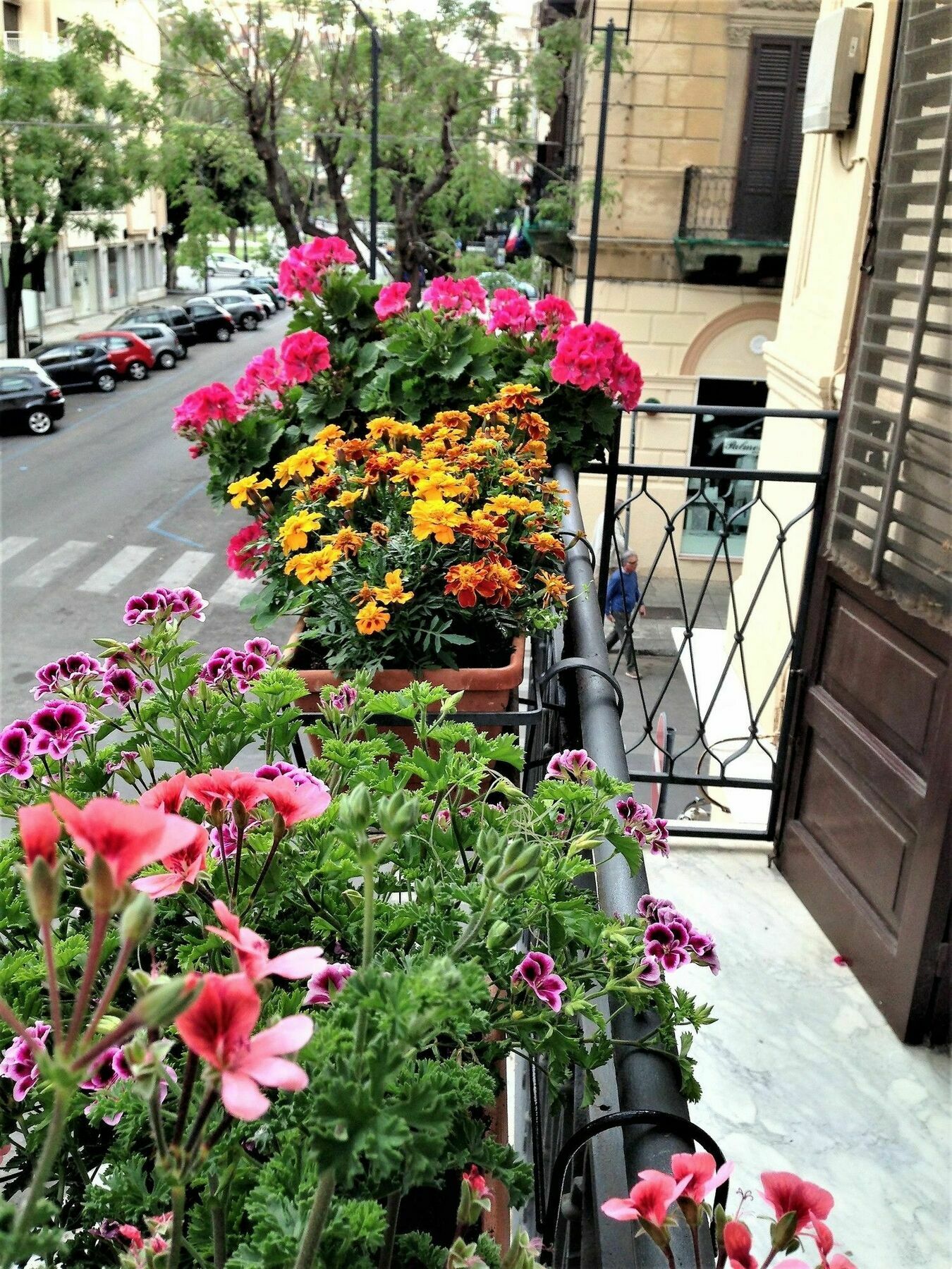 A Casa Di Amelie Villa ปาแลร์โม ภายนอก รูปภาพ